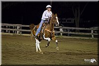 4H-3rd-Show-11_0656.jpg