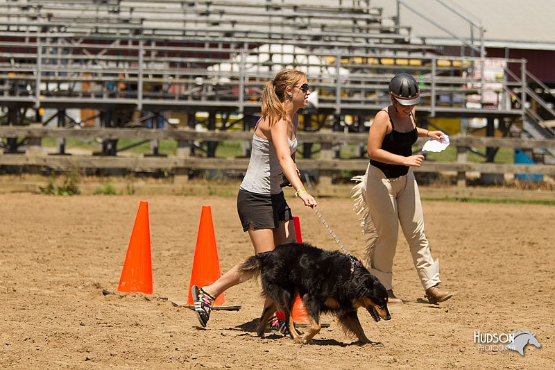 4H-3rd-Show-11_1367.jpg