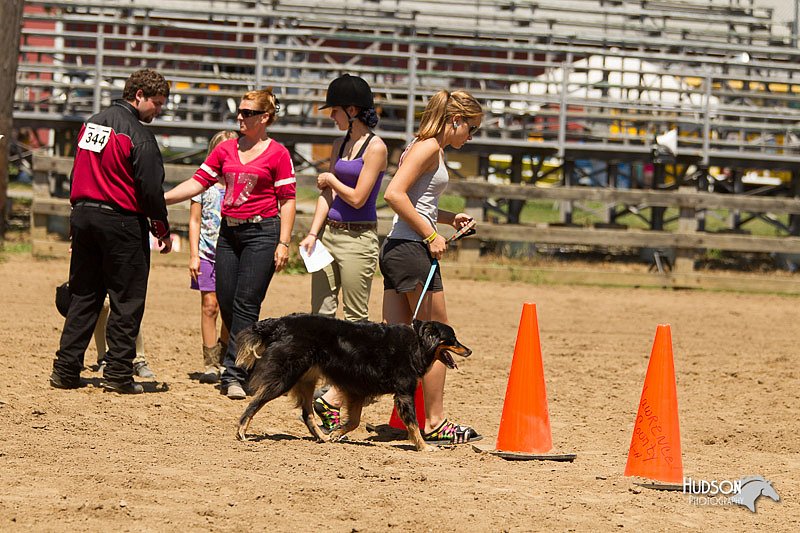 4H-3rd-Show-11_1398.jpg
