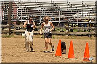 4H-3rd-Show-11_1366.jpg