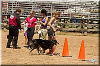 4H-3rd-Show-11_1398.jpg