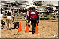 4H-3rd-Show-11_1399.jpg