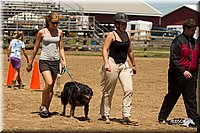 4H-3rd-Show-11_1403.jpg