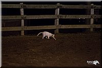 4H-3rd-Show-11_0731.jpg