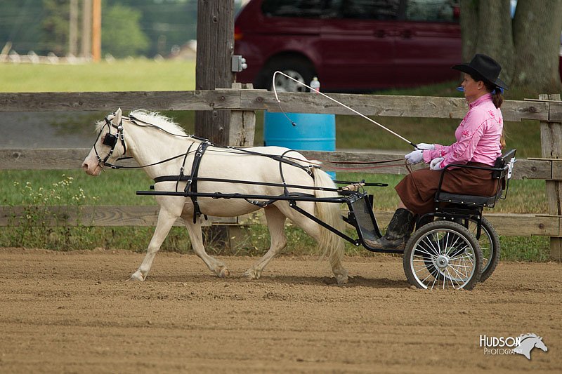 4H-3rd-Show-11_0931.jpg