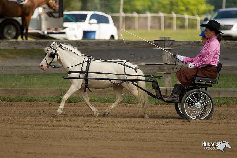 4H-3rd-Show-11_0932.jpg