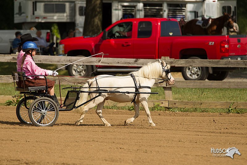 4H-3rd-Show-11_0937.jpg