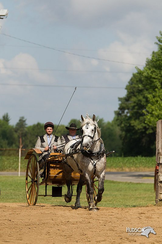 4H-3rd-Show-11_0940.jpg