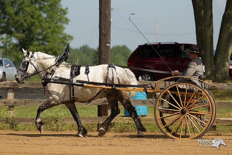 4H-3rd-Show-11_0942.jpg