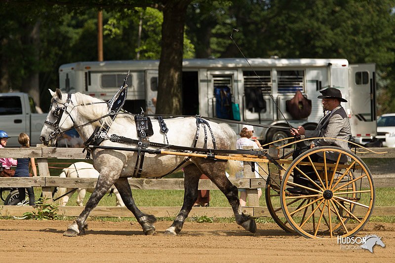 4H-3rd-Show-11_0943.jpg