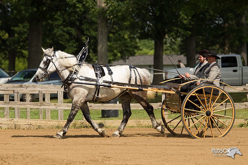 4H-3rd-Show-11_0944.jpg