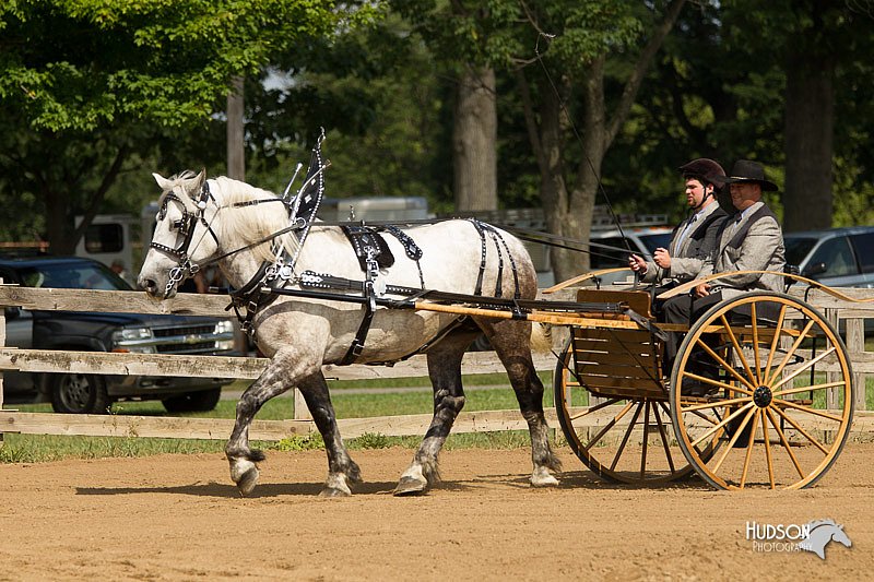 4H-3rd-Show-11_0945.jpg