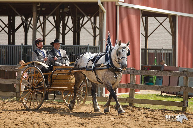 4H-3rd-Show-11_0946.jpg