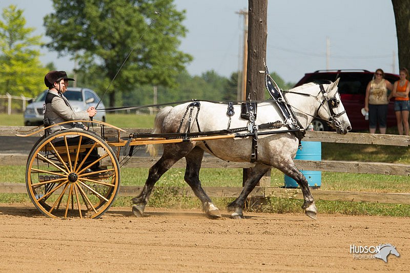 4H-3rd-Show-11_0947.jpg