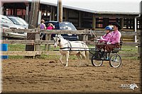 4H-3rd-Show-11_0929.jpg