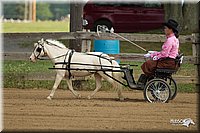 4H-3rd-Show-11_0931.jpg