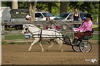 4H-3rd-Show-11_0934.jpg