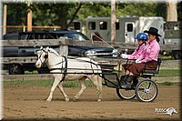 4H-3rd-Show-11_0935.jpg