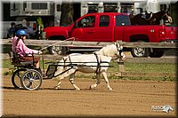 4H-3rd-Show-11_0937.jpg