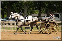 4H-3rd-Show-11_0944.jpg