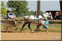 4H-3rd-Show-11_0947.jpg