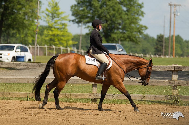 4H-3rd-Show-11_1077.jpg