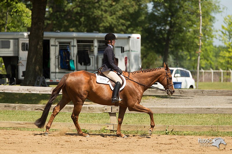 4H-3rd-Show-11_1078.jpg