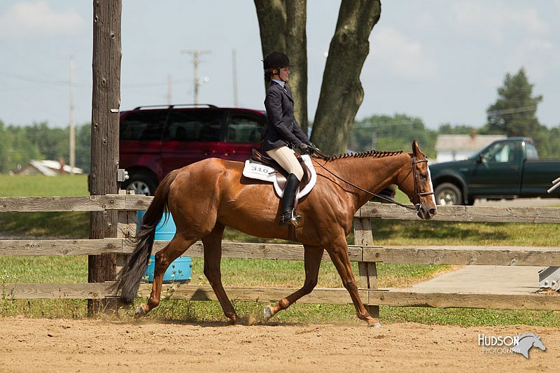 4H-3rd-Show-11_1079.jpg