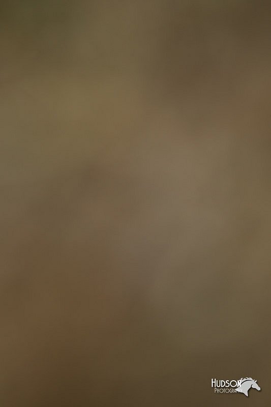 4H-3rd-Show-11_1084.jpg