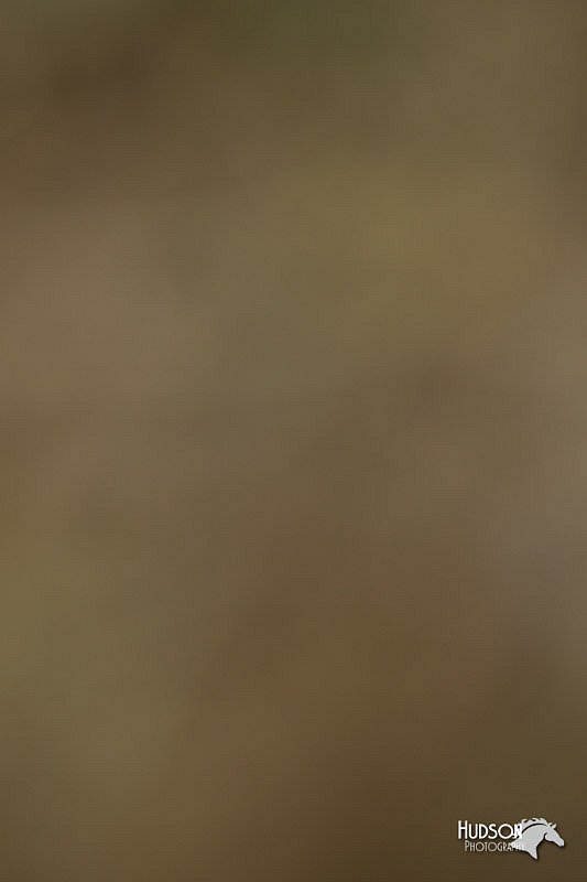 4H-3rd-Show-11_1085.jpg