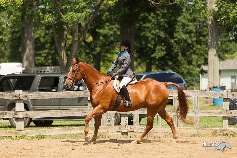 4H-3rd-Show-11_1089.jpg