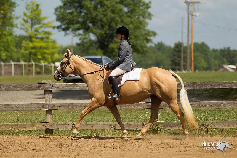 4H-3rd-Show-11_1090.jpg