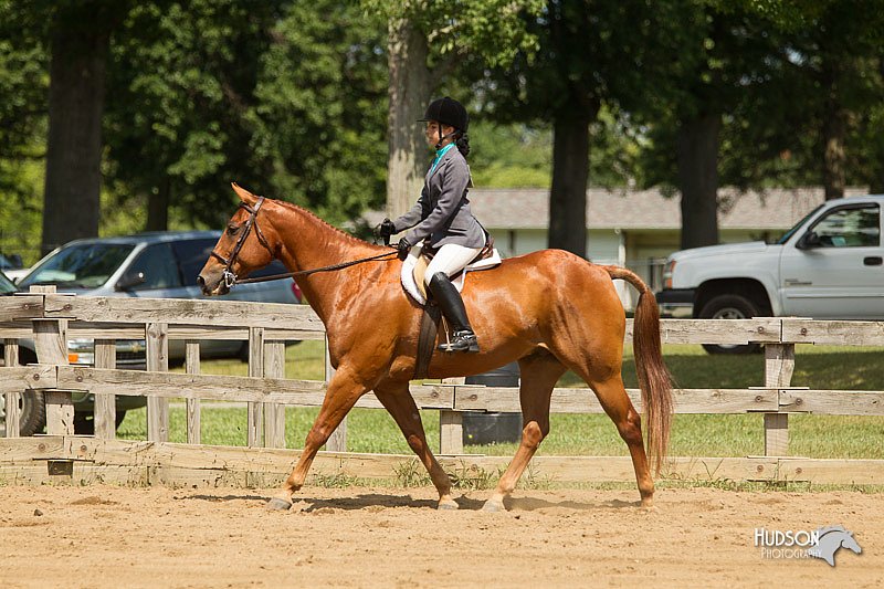 4H-3rd-Show-11_1095.jpg