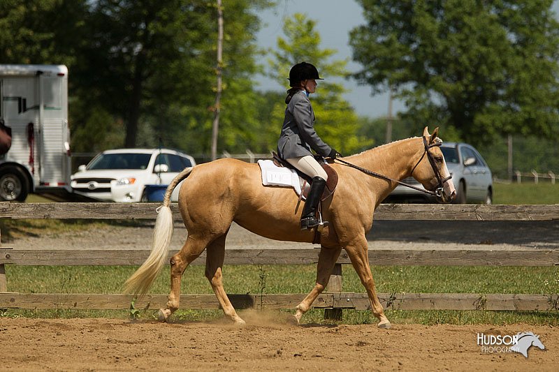 4H-3rd-Show-11_1099.jpg
