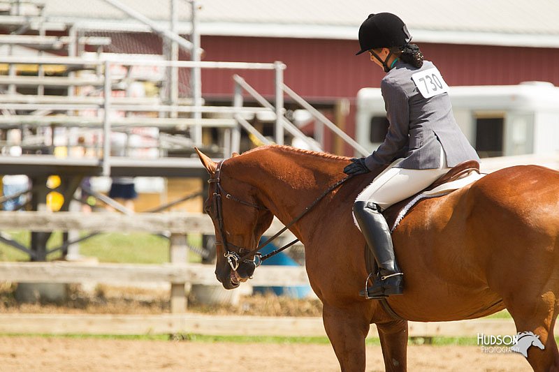 4H-3rd-Show-11_1104.jpg
