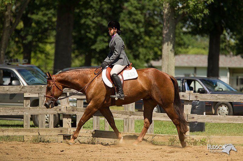 4H-3rd-Show-11_1121.jpg