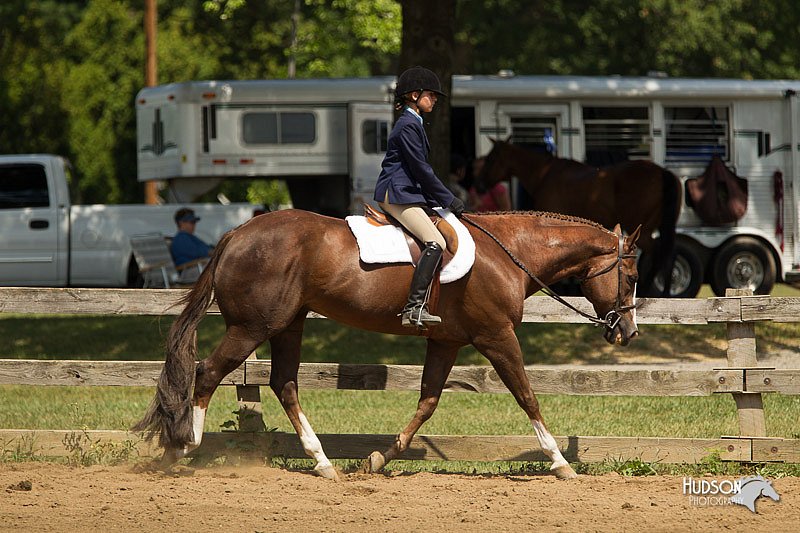 4H-3rd-Show-11_1126.jpg
