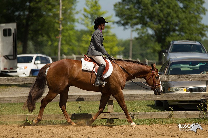 4H-3rd-Show-11_1131.jpg