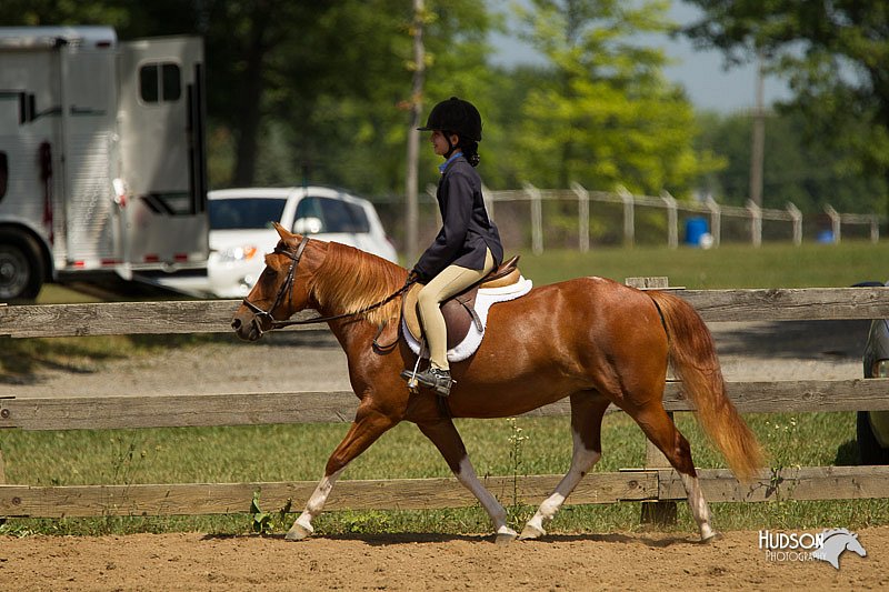 4H-3rd-Show-11_1136.jpg