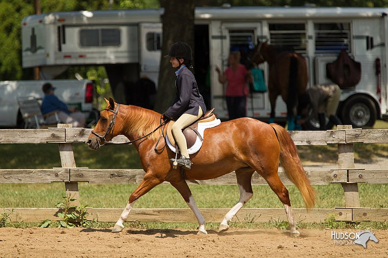 4H-3rd-Show-11_1137.jpg