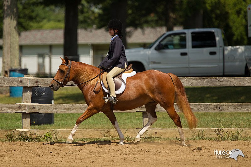 4H-3rd-Show-11_1138.jpg
