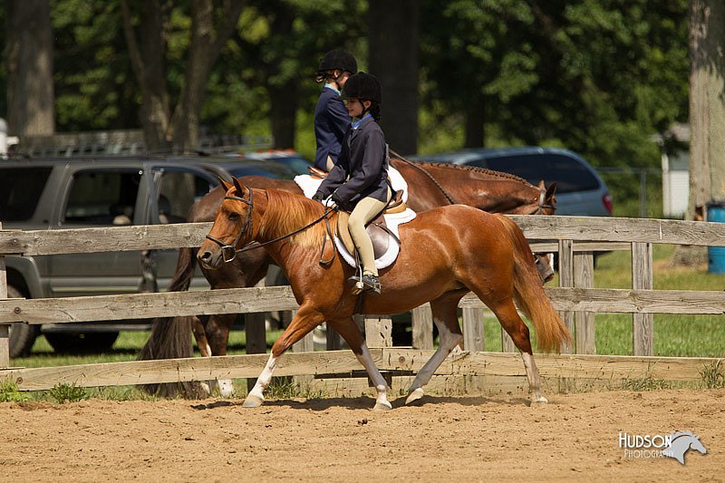 4H-3rd-Show-11_1139.jpg