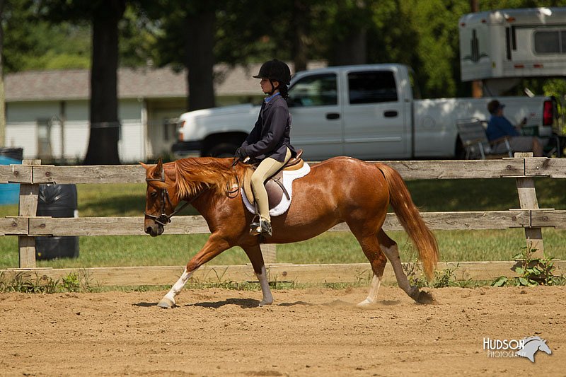 4H-3rd-Show-11_1144.jpg
