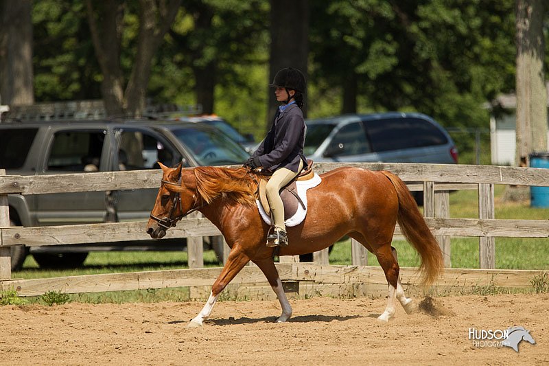 4H-3rd-Show-11_1145.jpg