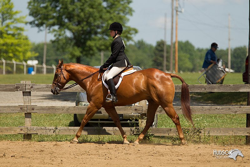 4H-3rd-Show-11_1149.jpg
