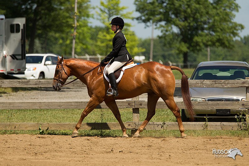4H-3rd-Show-11_1150.jpg