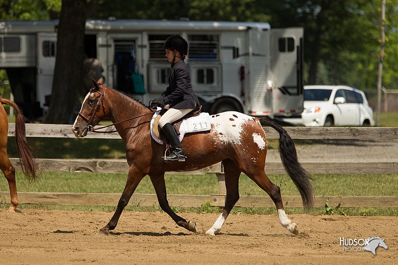4H-3rd-Show-11_1152.jpg