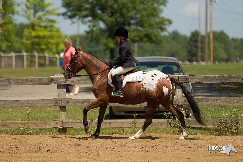 4H-3rd-Show-11_1154.jpg