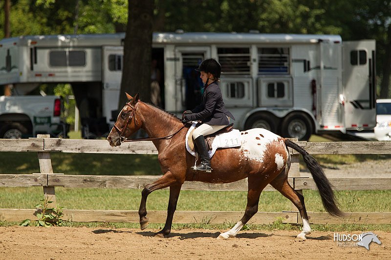 4H-3rd-Show-11_1155.jpg
