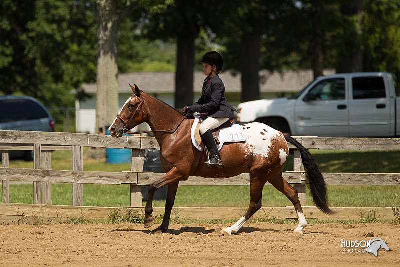 4H-3rd-Show-11_1156.jpg